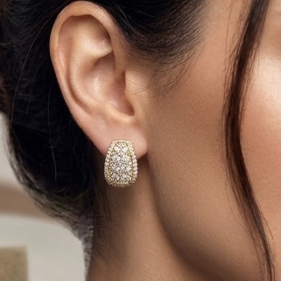 Jewelry - Elegant Gold and Silver Drop Earrings